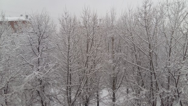 20180131_092921