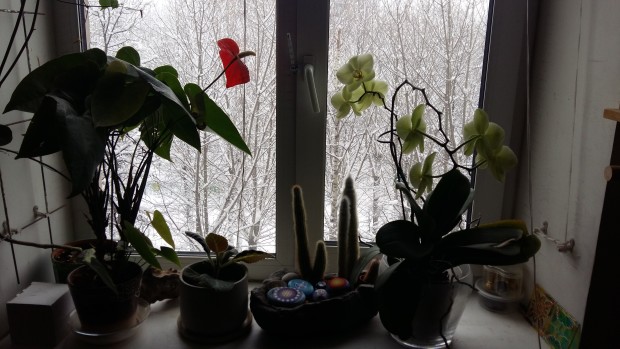 20180131_124026